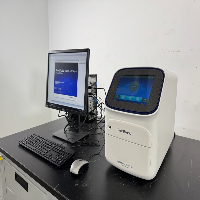 Applied Biosystems QuantStudio 3 Real Time PCR System image 1